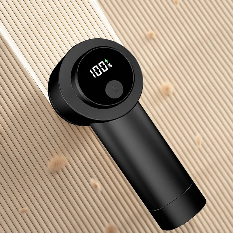 Portable Lint Remover